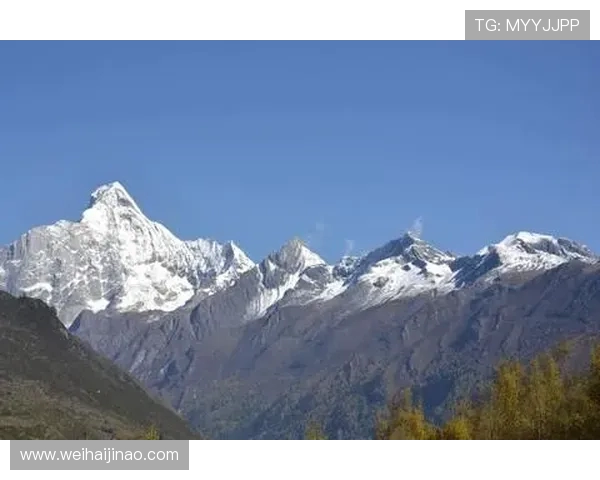 山行山神与东京的对话探寻城市与自然的和谐共生之道